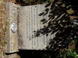image of grave number 735921